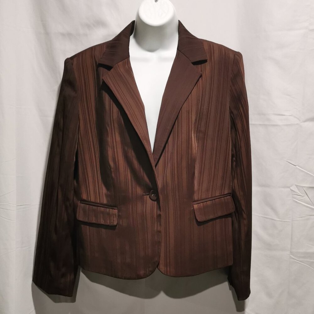 Tonal Striped Blazer Size 16P EUC #138